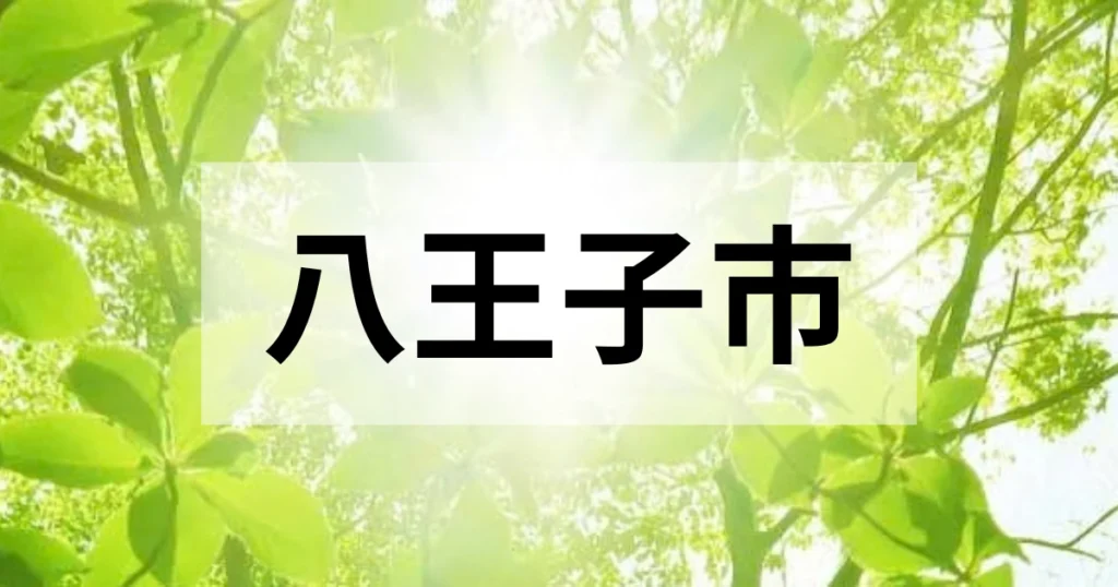 八王子市の処分方法