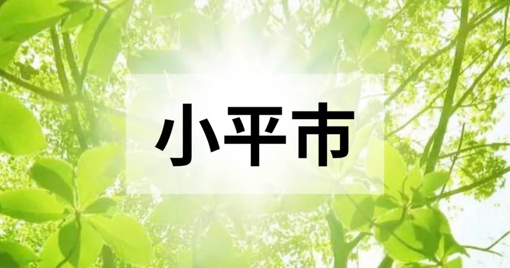 小平市の処分方法