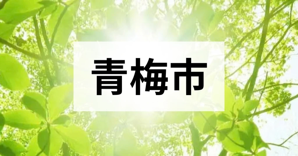 青梅市の処分方法