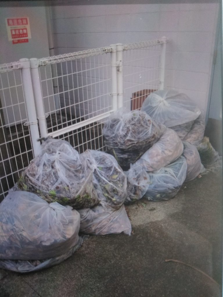 ロードサイド店・臨時の植栽ごみ回収ご依頼